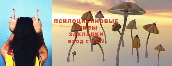 мескалин Балахна