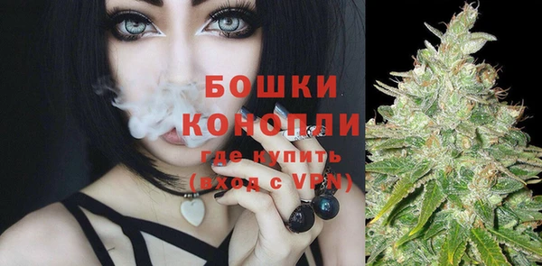 Альфа ПВП Осинники